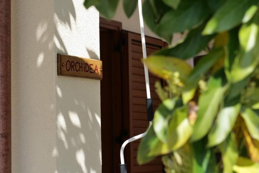 Case Vacanze La Quercia Marina di Camerota Extérieur photo